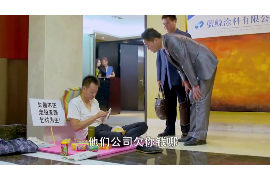 当雄债务清欠服务